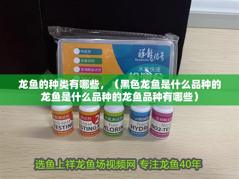 龍魚的種類有哪些，（黑色龍魚是什么品種的龍魚是什么品種的龍魚品種有哪些）