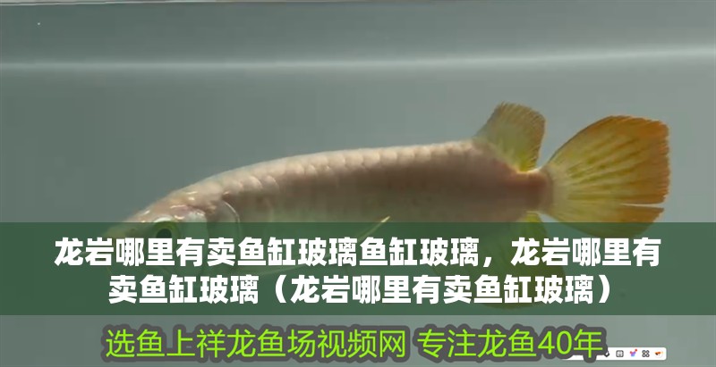 龍巖哪里有賣魚缸玻璃魚缸玻璃，龍巖哪里有賣魚缸玻璃（龍巖哪里有賣魚缸玻璃）