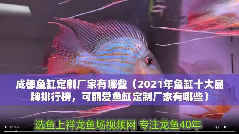 成都魚缸定制廠家有哪些（2021年魚缸十大品牌排行榜，可麗愛魚缸定制廠家有哪些）