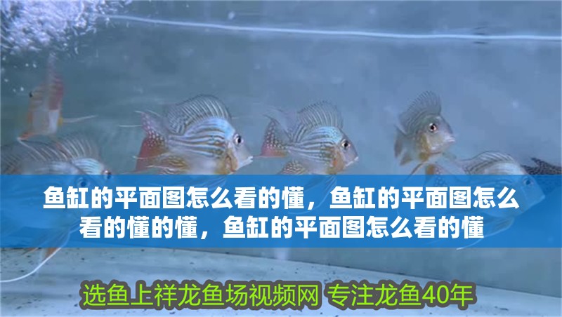 魚缸的平面圖怎么看的懂，魚缸的平面圖怎么看的懂的懂，魚缸的平面圖怎么看的懂