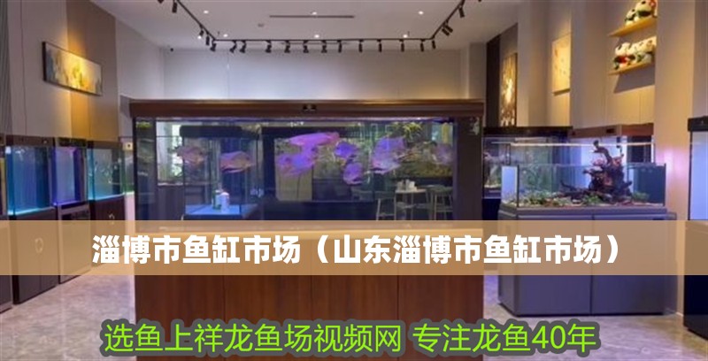 淄博市魚缸市場(chǎng)（山東淄博市魚缸市場(chǎng)） 淄博市魚缸市場(chǎng)（山東淄博市魚缸市場(chǎng)） 觀賞魚百科