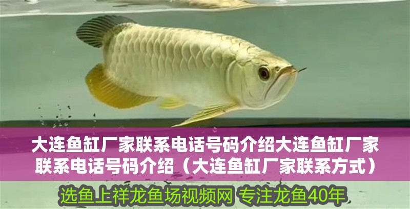 大連魚缸廠家聯系電話號碼介紹大連魚缸廠家聯系電話號碼介紹（大連魚缸廠家聯系方式）