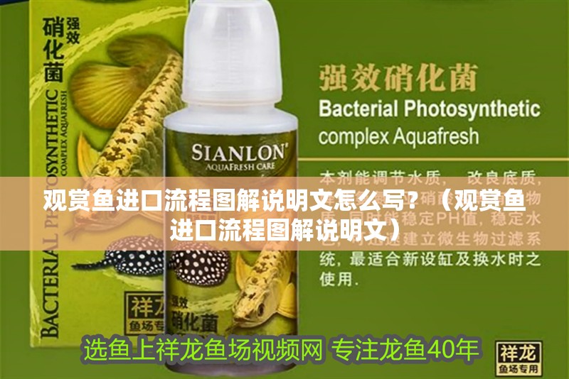 觀賞魚進(jìn)口流程圖解說明文怎么寫？（觀賞魚進(jìn)口流程圖解說明文）