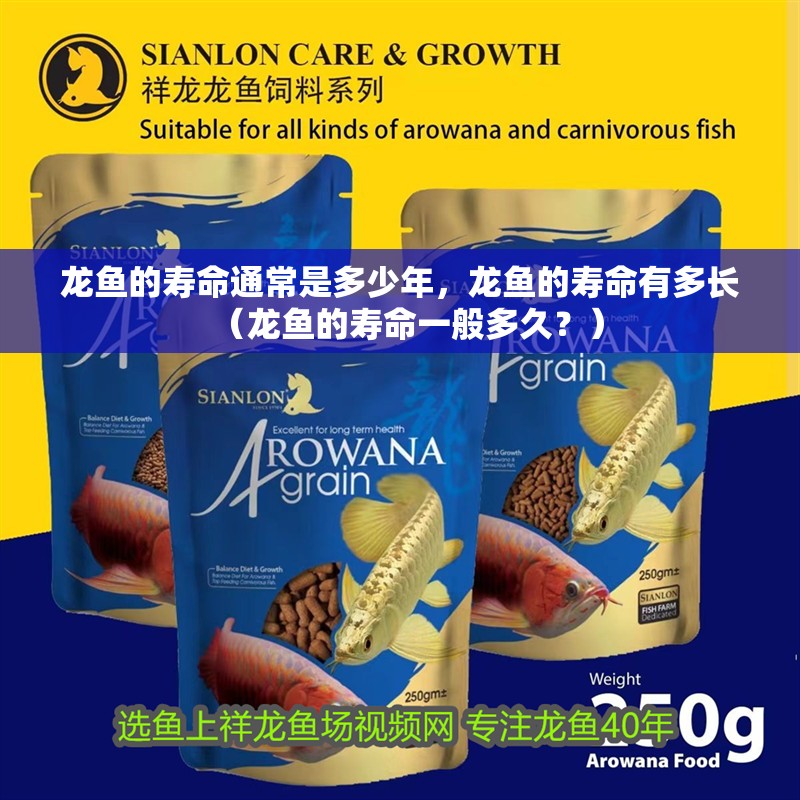 龍魚(yú)的壽命通常是多少年，龍魚(yú)的壽命有多長(zhǎng)（龍魚(yú)的壽命一般多久？）