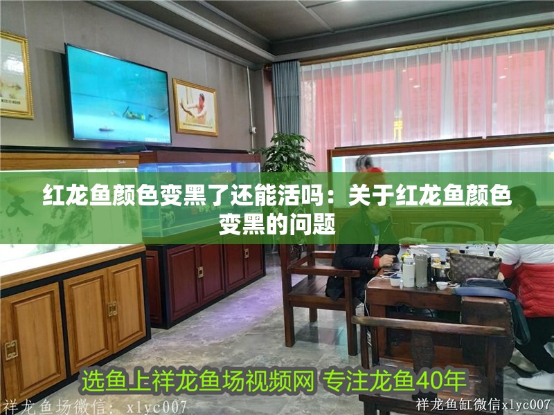 紅龍魚顏色變黑了還能活嗎：關于紅龍魚顏色變黑的問題