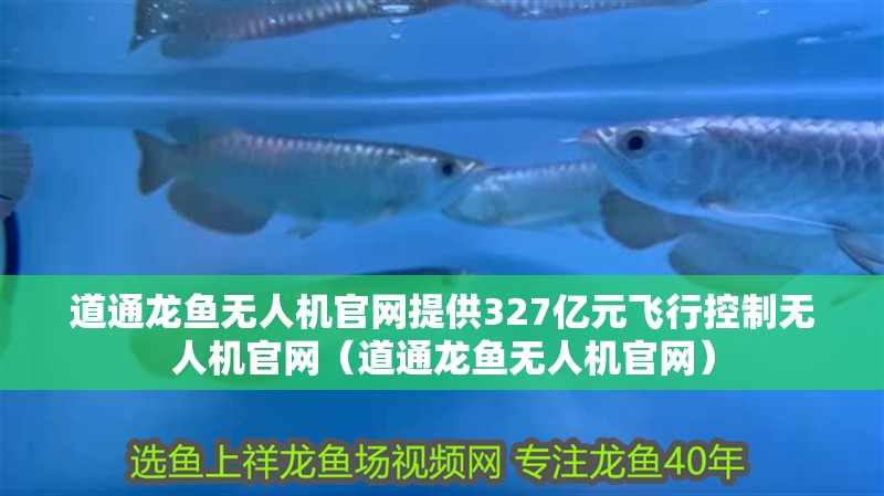 道通龍魚無(wú)人機(jī)官網(wǎng)提供327億元飛行控制無(wú)人機(jī)官網(wǎng)（道通龍魚無(wú)人機(jī)官網(wǎng)）