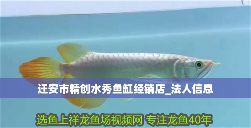 遷安市精創(chuàng)水秀魚缸經(jīng)銷店_法人信息