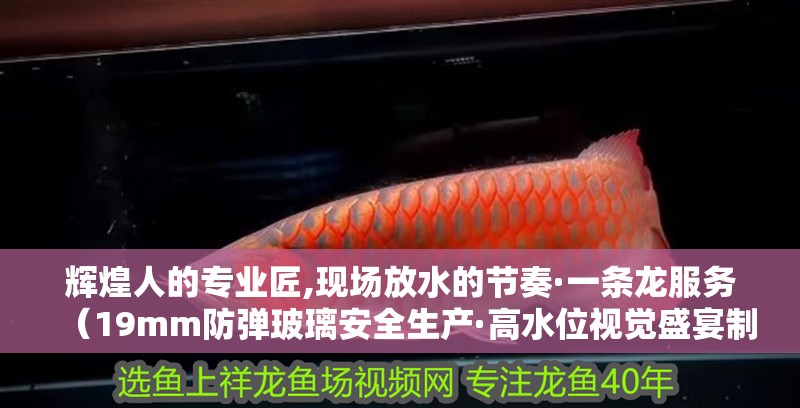輝煌人的專業(yè)匠,現(xiàn)場(chǎng)放水的節(jié)奏·一條龍服務(wù)（19mm防彈玻璃安全生產(chǎn)·高水位視覺盛宴制缸）