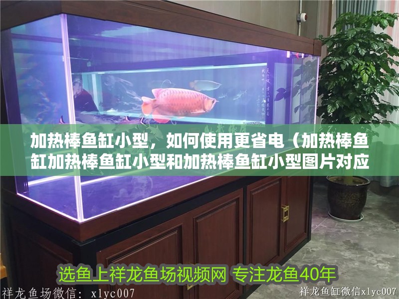 加熱棒魚缸小型，如何使用更省電（加熱棒魚缸加熱棒魚缸小型和加熱棒魚缸小型圖片對應(yīng)的信息）