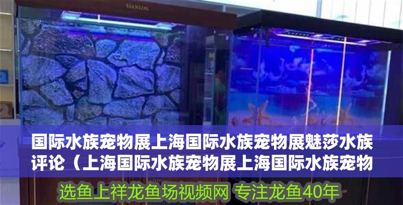 國際水族寵物展上海國際水族寵物展魅莎水族評論（上海國際水族寵物展上海國際水族寵物展魅莎水族評論）