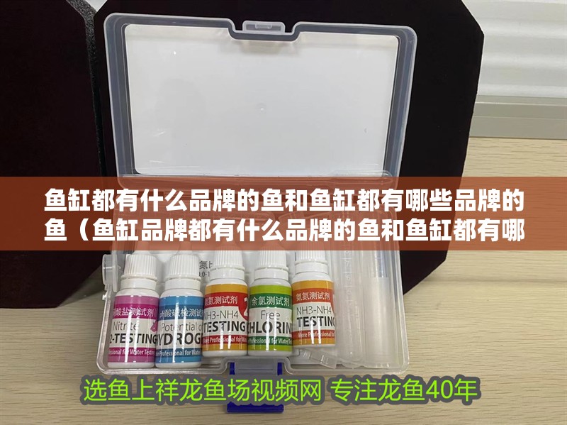 魚缸都有什么品牌的魚和魚缸都有哪些品牌的魚（魚缸品牌都有什么品牌的魚和魚缸都有哪些牌子對應的信息）