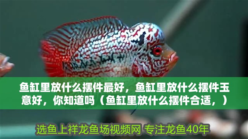 魚缸里放什么擺件最好，魚缸里放什么擺件玉意好，你知道嗎（魚缸里放什么擺件合適，）