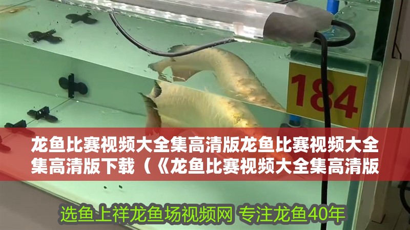 龍魚比賽視頻大全集高清版龍魚比賽視頻大全集高清版下載（《龍魚比賽視頻大全集高清版》）