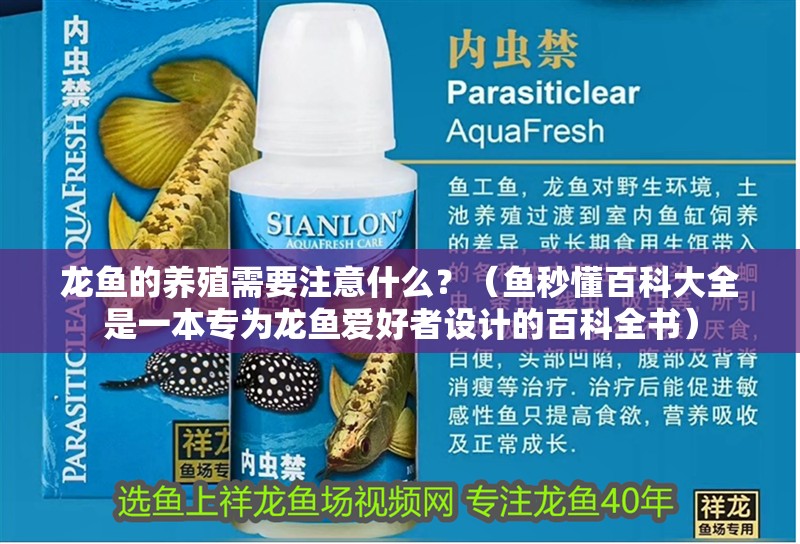 龍魚的養(yǎng)殖需要注意什么？（魚秒懂百科大全是一本專為龍魚愛(ài)好者設(shè)計(jì)的百科全書）