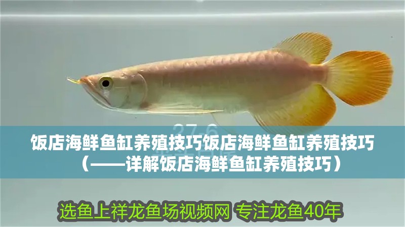 飯店海鮮魚缸養(yǎng)殖技巧飯店海鮮魚缸養(yǎng)殖技巧（——詳解飯店海鮮魚缸養(yǎng)殖技巧）