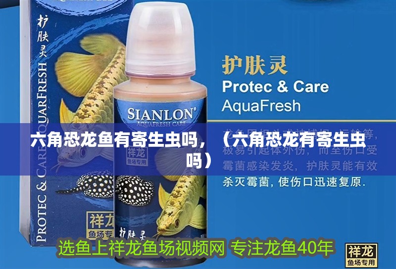 六角恐龍魚有寄生蟲嗎，（六角恐龍有寄生蟲嗎）