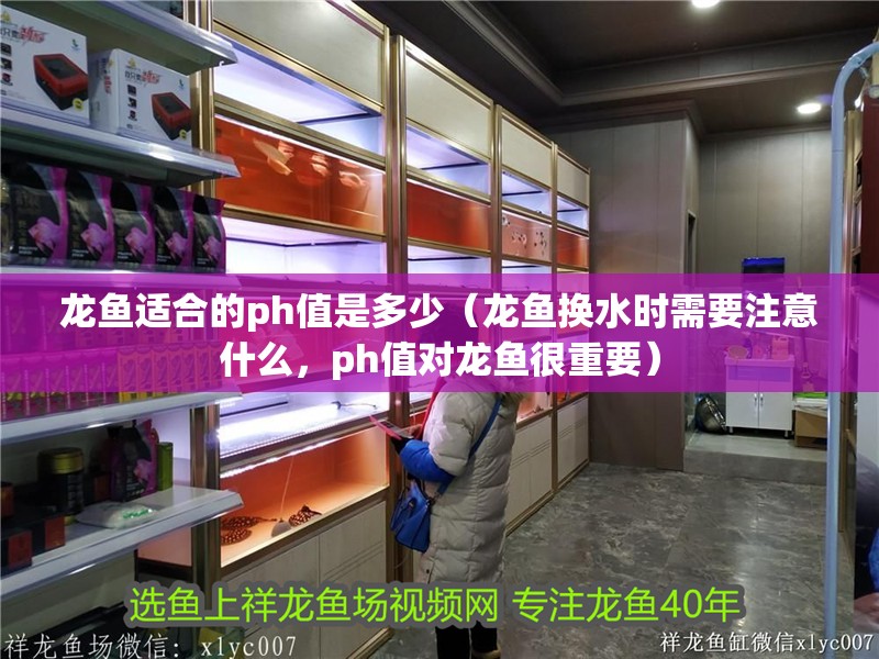 龍魚適合的ph值是多少（龍魚換水時需要注意什么，ph值對龍魚很重要）