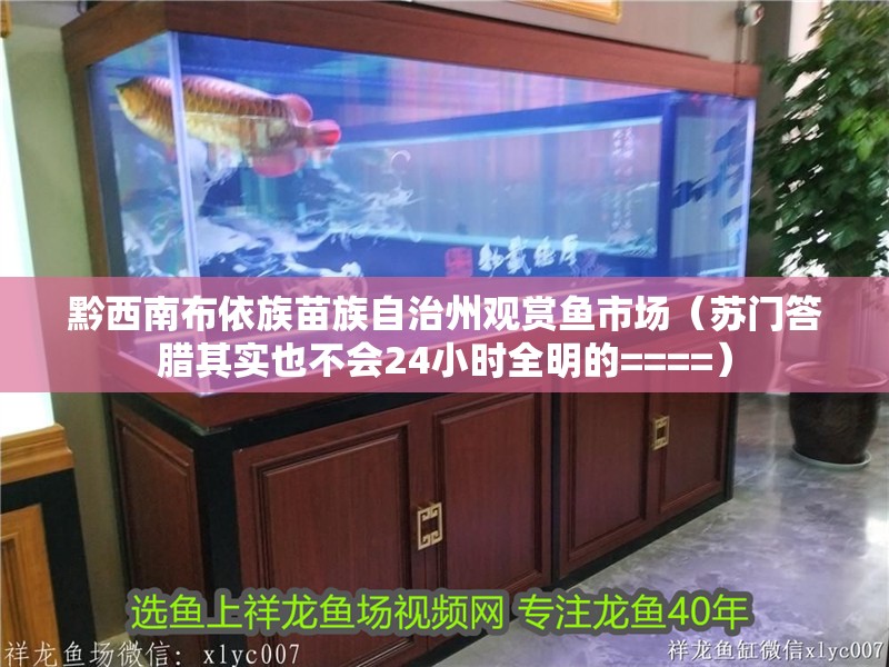 黔西南布依族苗族自治州觀賞魚市場（蘇門答臘其實也不會24小時全明的====）