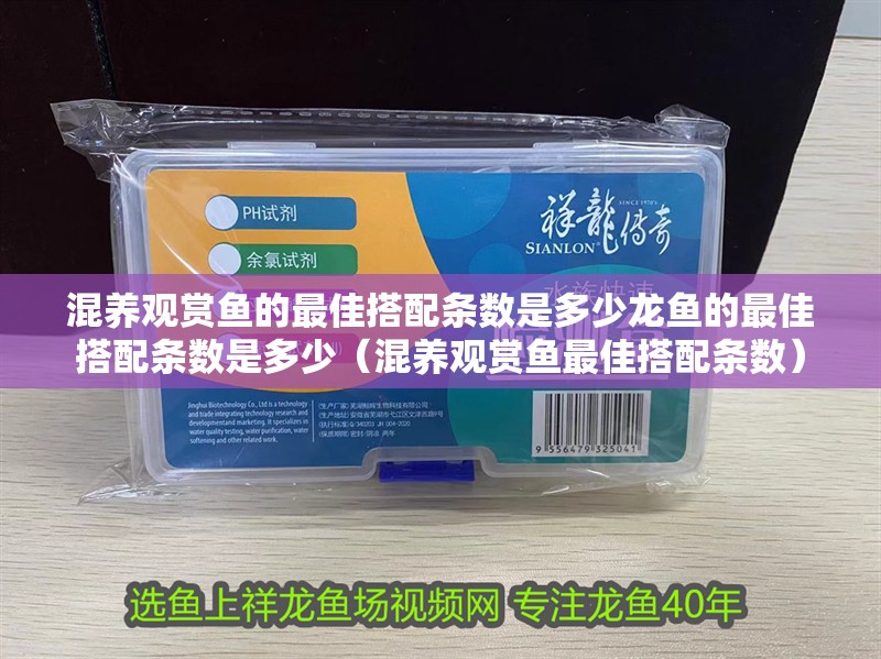 混養(yǎng)觀賞魚的最佳搭配條數(shù)是多少龍魚的最佳搭配條數(shù)是多少（混養(yǎng)觀賞魚最佳搭配條數(shù)）