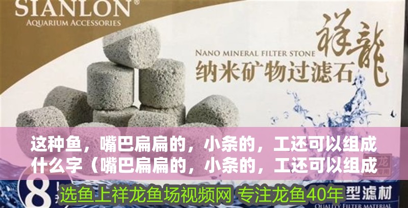 這種魚，嘴巴扁扁的，小條的，工還可以組成什么字（嘴巴扁扁的，小條的，工還可以組成什么字）