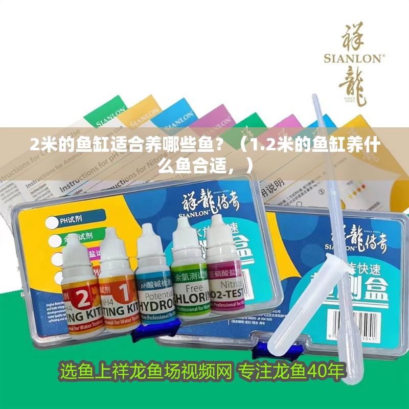 2米的魚缸適合養哪些魚？（1.2米的魚缸養什么魚合適，）