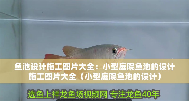 魚池設(shè)計施工圖片大全：小型庭院魚池的設(shè)計施工圖片大全（小型庭院魚池的設(shè)計）