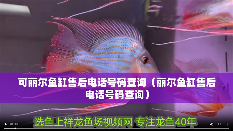 可麗爾魚(yú)缸售后電話號(hào)碼查詢（麗爾魚(yú)缸售后電話號(hào)碼查詢）