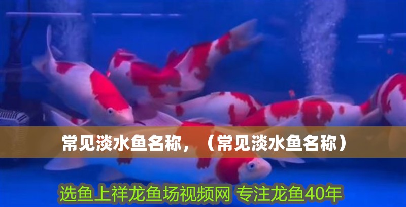 常見淡水魚名稱，（常見淡水魚名稱）