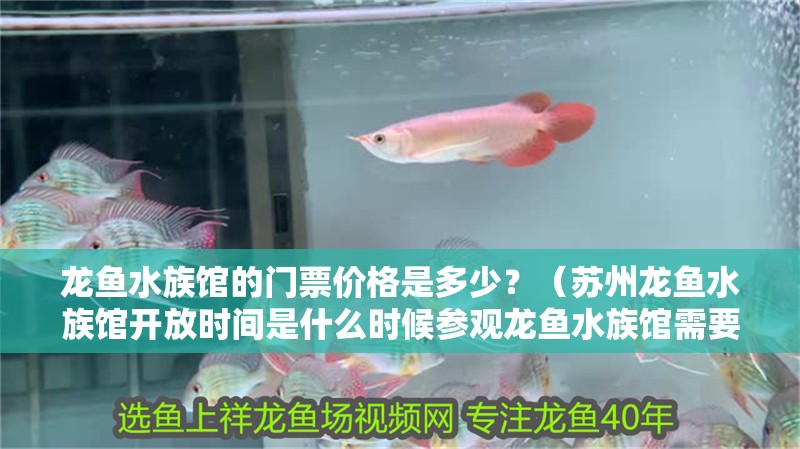 龍魚水族館的門票價格是多少？（蘇州龍魚水族館開放時間是什么時候參觀龍魚水族館需要提前預約嗎）