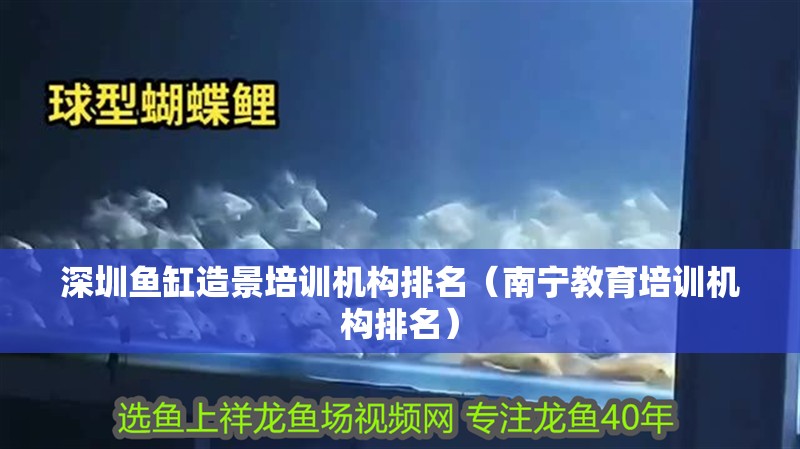 深圳魚缸造景培訓(xùn)機構(gòu)排名（南寧教育培訓(xùn)機構(gòu)排名）