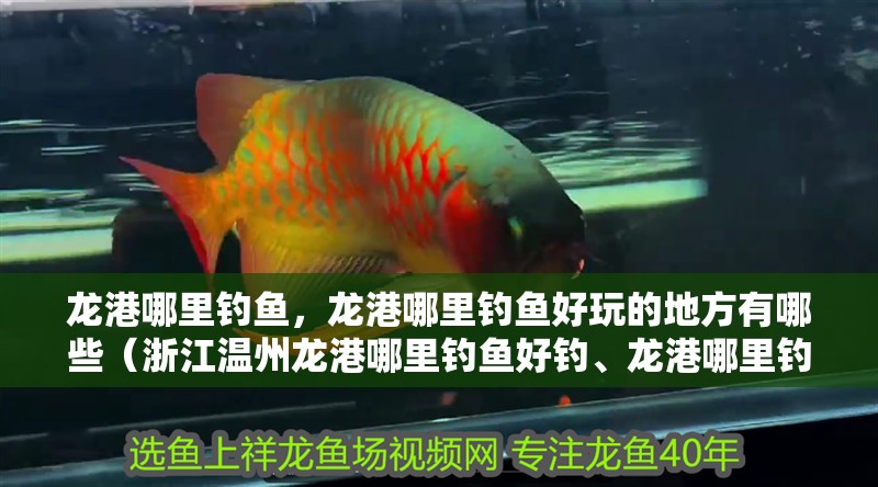 龍港哪里釣魚，龍港哪里釣魚好玩的地方有哪些（<strong><mark>浙江</mark></strong>溫州龍港哪里釣魚好釣、龍港哪里釣魚好釣、龍港哪里釣魚好）