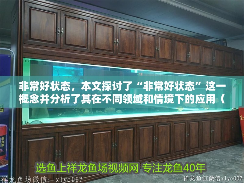 非常好狀態(tài)，本文探討了“非常好狀態(tài)”這一概念并分析了其在不同領域和情境下的應用（非常好狀態(tài)是什么意思）