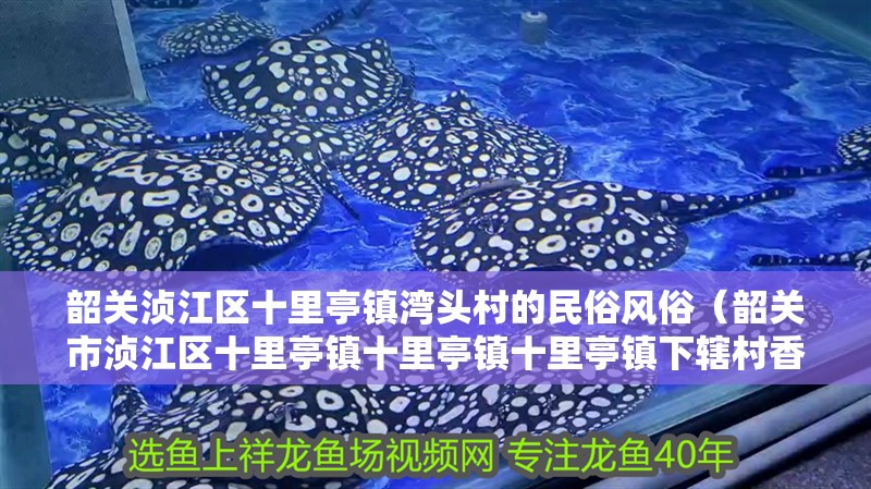 韶關湞江區十里亭鎮灣頭村的民俗風俗（韶關市湞江區十里亭鎮十里亭鎮十里亭鎮下轄村香火龍）