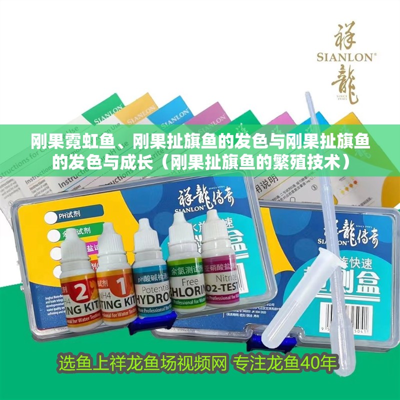 剛果霓虹魚、剛果扯旗魚的發色與剛果扯旗魚的發色與成長（剛果扯旗魚的繁殖技術）