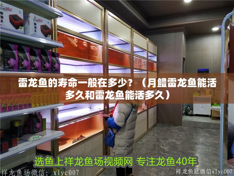 雷龍魚的壽命一般在多少？（月鱧雷龍魚能活多久和雷龍魚能活多久）