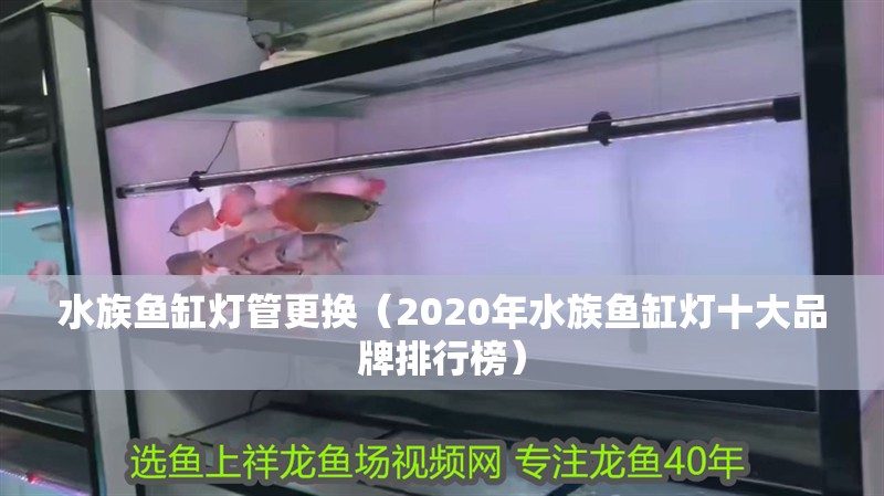 水族魚缸燈管更換（2020年水族魚缸燈十大品牌排行榜）