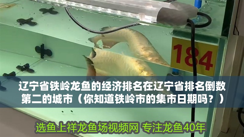 遼寧省鐵嶺龍魚的經濟排名在遼寧省排名倒數第二的城市（你知道鐵嶺市的集市日期嗎？）