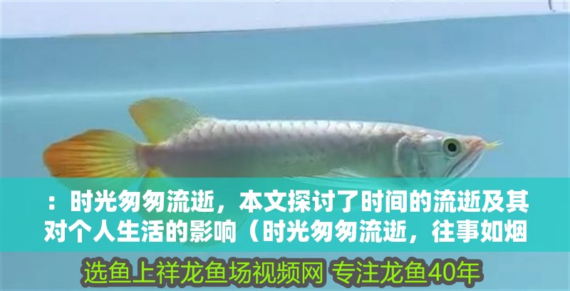 ：時光匆匆流逝，本文探討了時間的流逝及其對個人生活的影響（時光匆匆流逝，往事如煙）