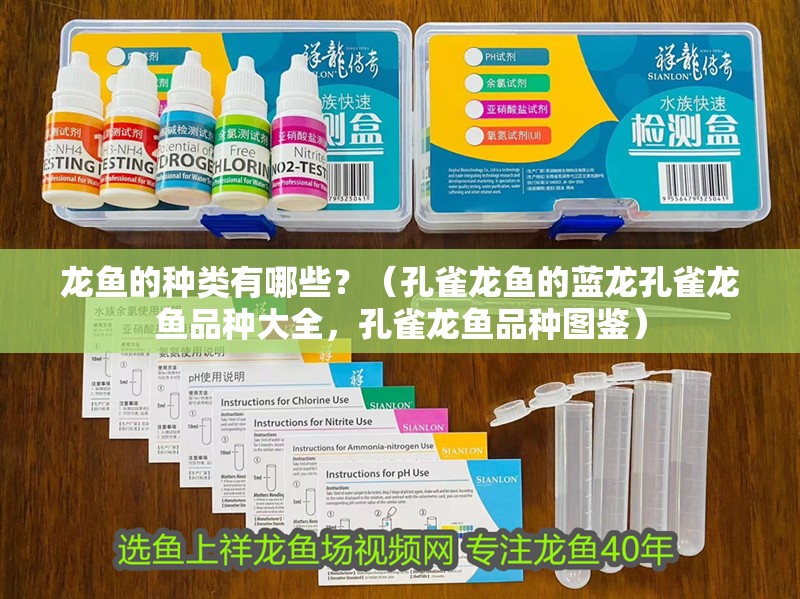 龍魚的種類有哪些？（孔雀龍魚的藍龍孔雀龍魚品種大全，孔雀龍魚品種圖鑒）