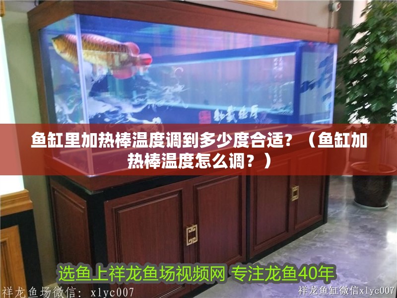 魚缸里加熱棒溫度調到多少度合適？（魚缸加熱棒溫度怎么調？）