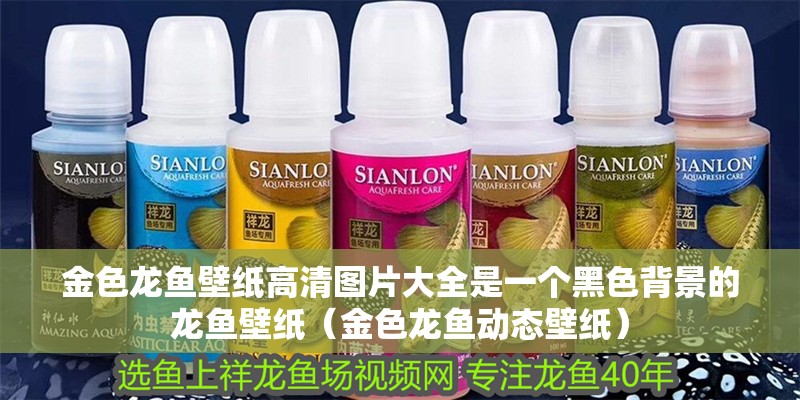 金色龍魚壁紙高清圖片大全是一個黑色背景的龍魚壁紙（金色龍魚動態壁紙）