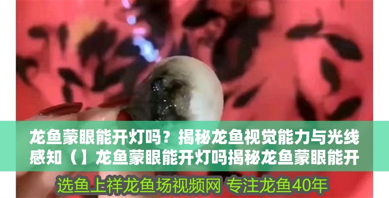 龍魚蒙眼能開燈嗎？揭秘龍魚視覺能力與光線感知（】龍魚蒙眼能開燈嗎揭秘龍魚蒙眼能開燈嗎）