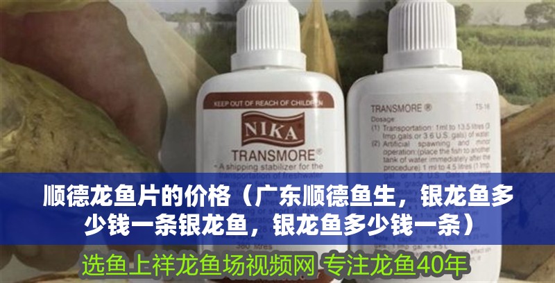 順德龍魚片的價格（廣東順德魚生，銀龍魚多少錢一條銀龍魚，銀龍魚多少錢一條）