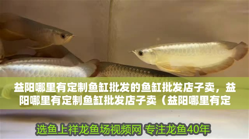 益陽哪里有定制魚缸批發(fā)的魚缸批發(fā)店子賣，益陽哪里有定制魚缸批發(fā)店子賣（益陽哪里有定制魚缸批發(fā)店）