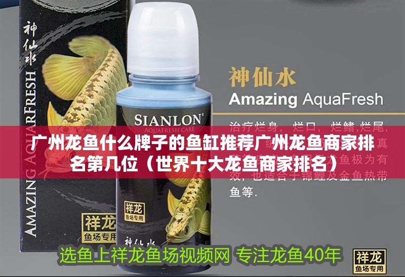 廣州龍魚什么牌子的魚缸推薦廣州龍魚商家排名第幾位（世界十大龍魚商家排名）