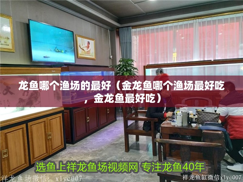 龍魚哪個漁場的最好（金龍魚哪個漁場最好吃，金龍魚最好吃）