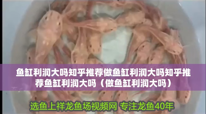 魚缸利潤大嗎知乎推薦做魚缸利潤大嗎知乎推薦魚缸利潤大嗎（做魚缸利潤大嗎）