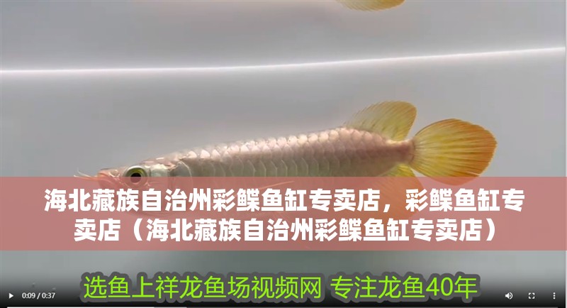 <strong><mark>海北</mark></strong>藏族自治州彩鰈魚缸專賣店，彩鰈魚缸專賣店（<strong><mark>海北</mark></strong>藏族自治州彩鰈魚缸專賣店）