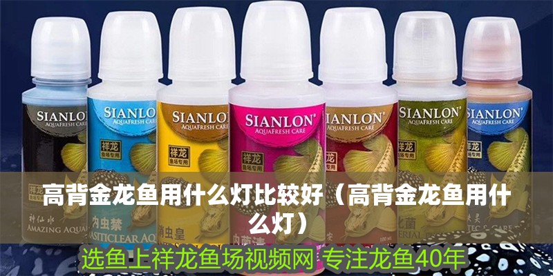高背金龍魚用什么燈比較好（高背金龍魚用什么燈）