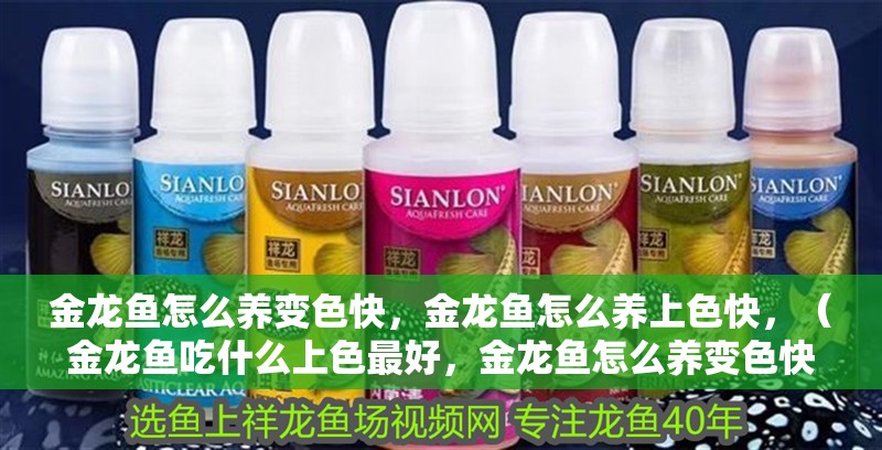 金龍魚怎么養(yǎng)變色快，金龍魚怎么養(yǎng)上色快，（金龍魚吃什么上色最好，金龍魚怎么養(yǎng)變色快）